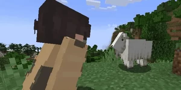 PatPat [Mod & Plugin] — плагин для Minecraft 1.18.2