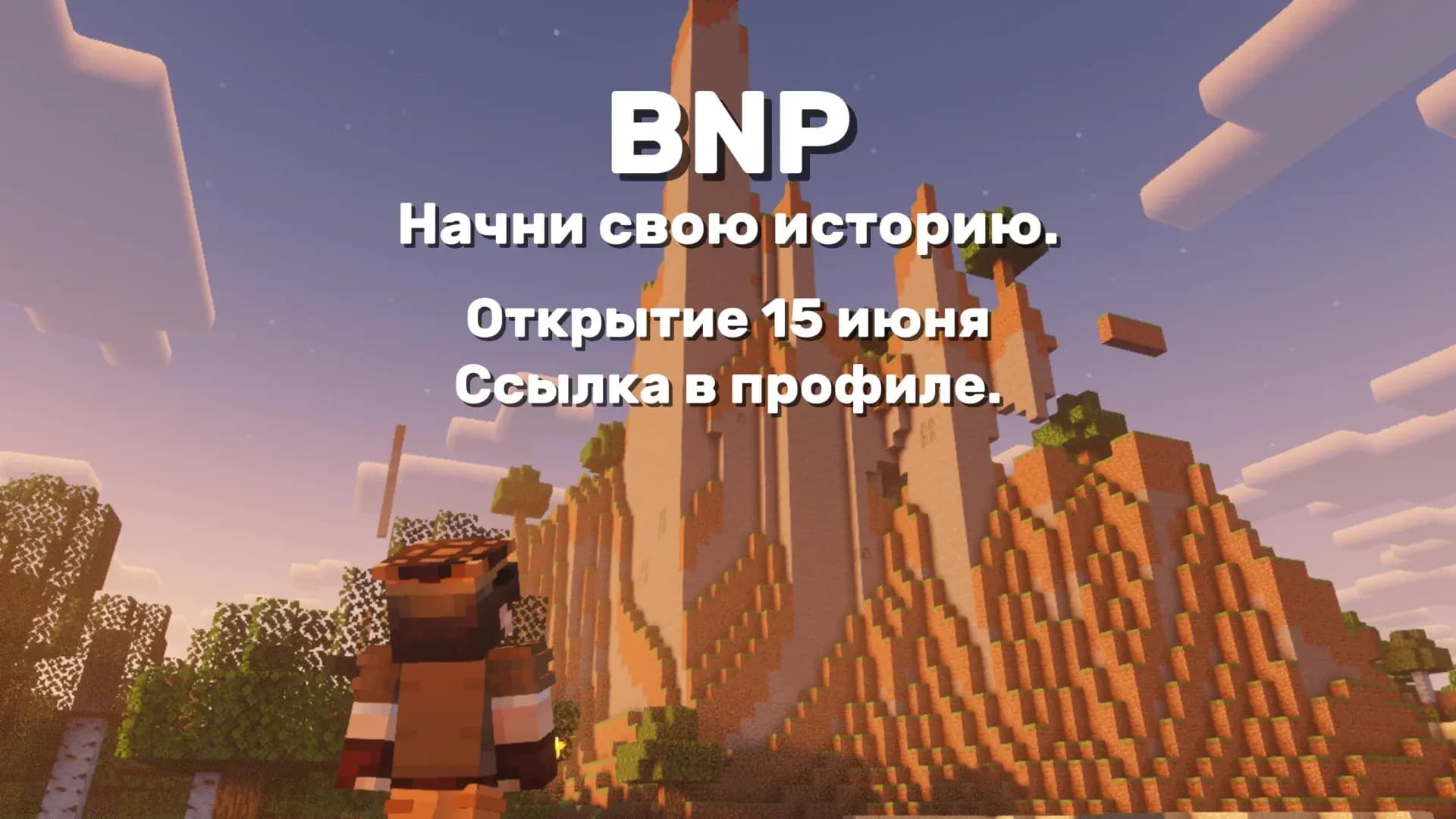 Скриншот BNP 1