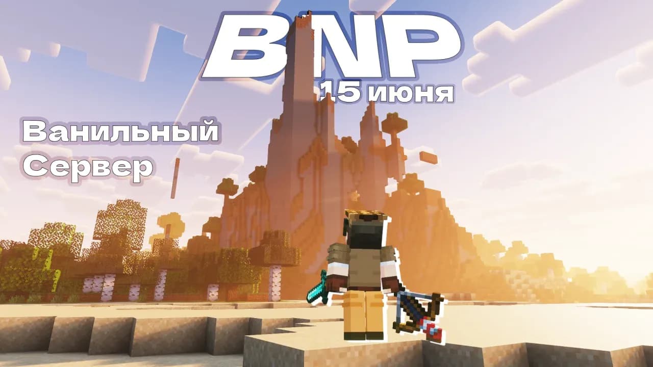 Скриншот BNP 2