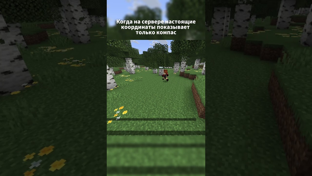 Миникарта не поможет  #minecraft #майнкрафтсервер